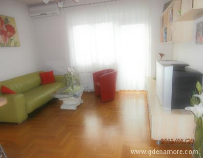 Apartamento DENA- muy bien decorado y equipado, en una excelente ubicaci&oacute;n, alojamiento privado en Zagreb, Croacia - Dnevni boravak